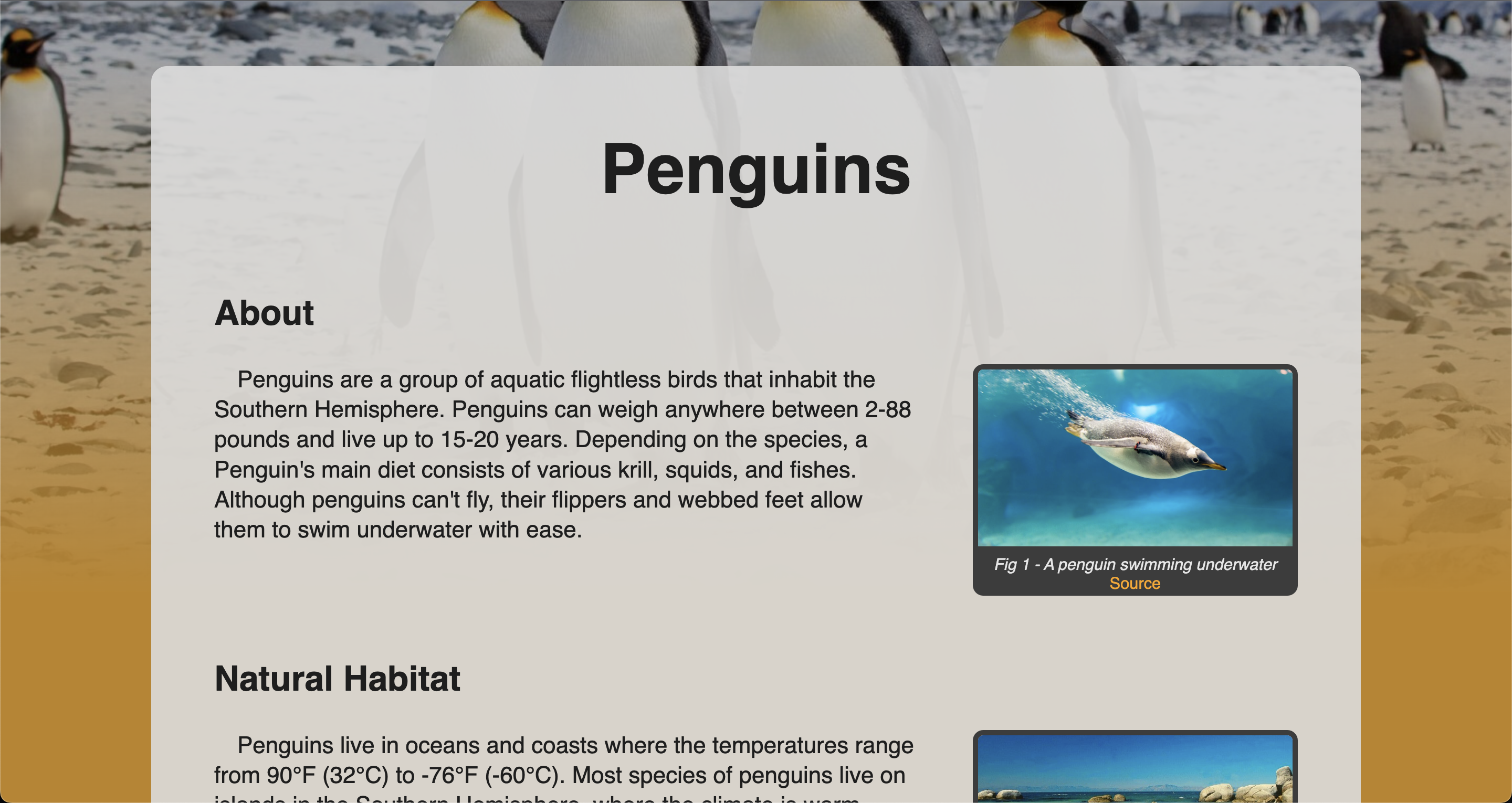 Penguins_Infopage thumbnail